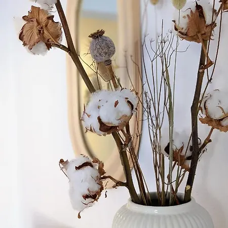 Boho-style In - Zentral & Daire