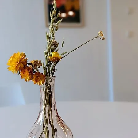 Apartment Boho-style In - Zentral &