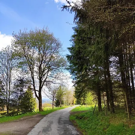 Boho-style In - Zentral & *