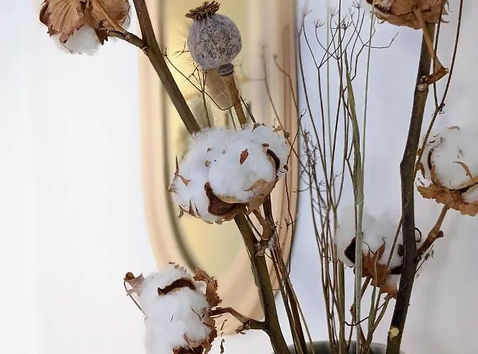 Boho-style In - Zentral & Διαμέρισμα