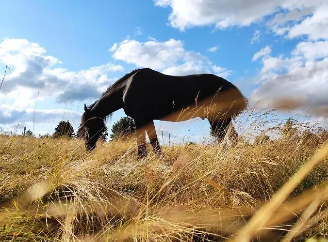 Appartamento Boho-style In - Zentral & Winterberg